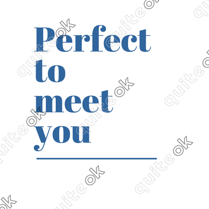 Perfect To Meet You Comedy Quote T-Shirt