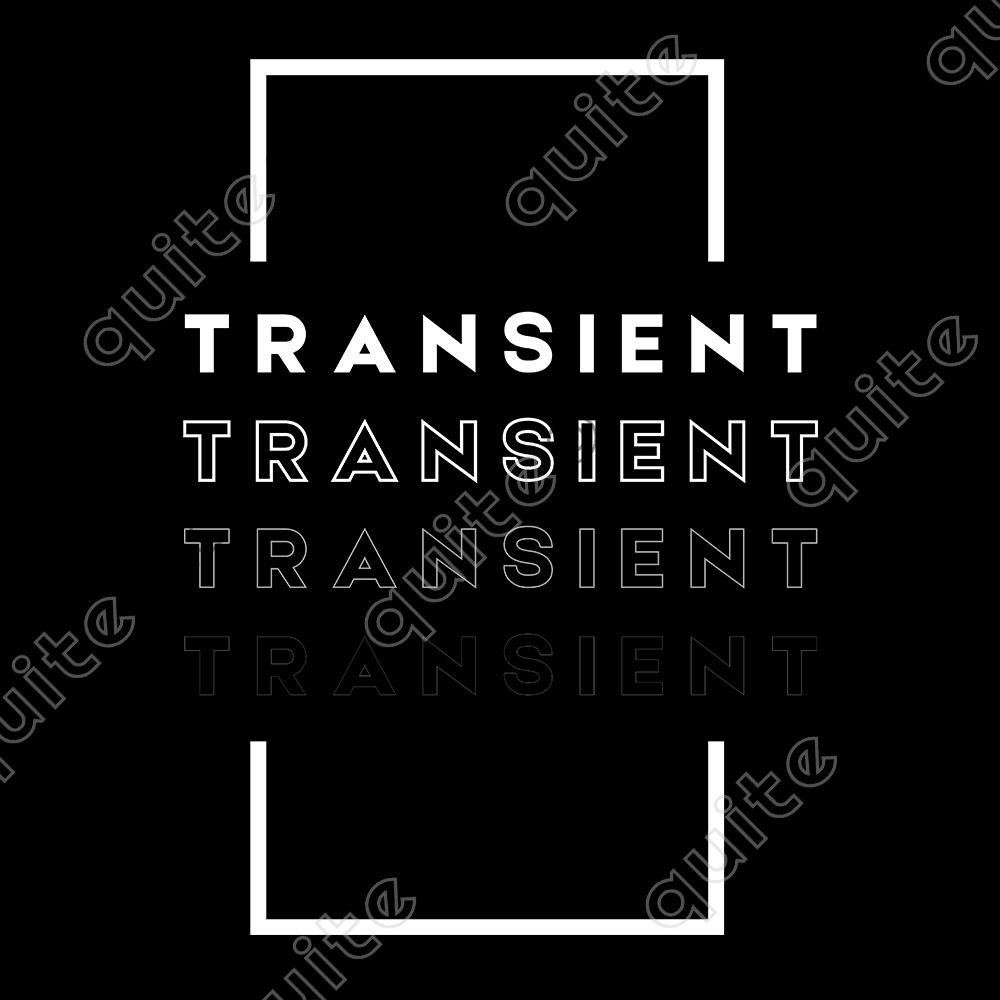 Transient T-Shirt