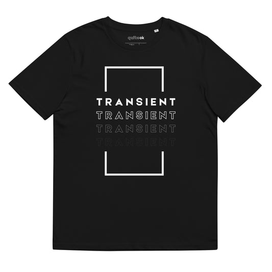 Transient T-Shirt